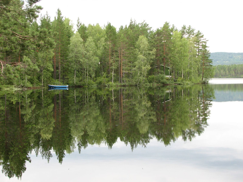 See mit sich spiegelndem Wald